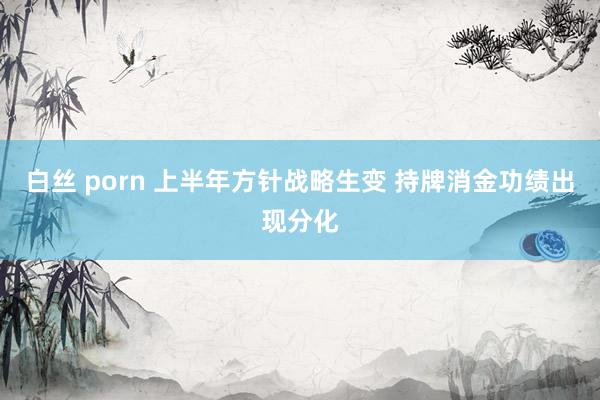 白丝 porn 上半年方针战略生变 持牌消金功绩出现分化
