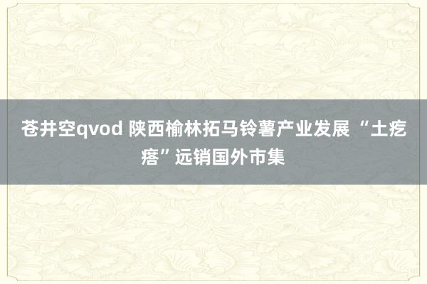 苍井空qvod 陕西榆林拓马铃薯产业发展 “土疙瘩”远销国外市集