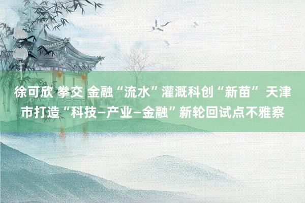 徐可欣 拳交 金融“流水”灌溉科创“新苗” 天津市打造“科技—产业—金融”新轮回试点不雅察