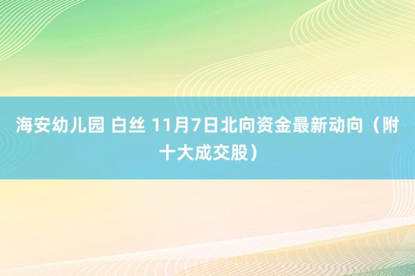 海安幼儿园 白丝 11月7日北向资金最新动向（附十大成交股）