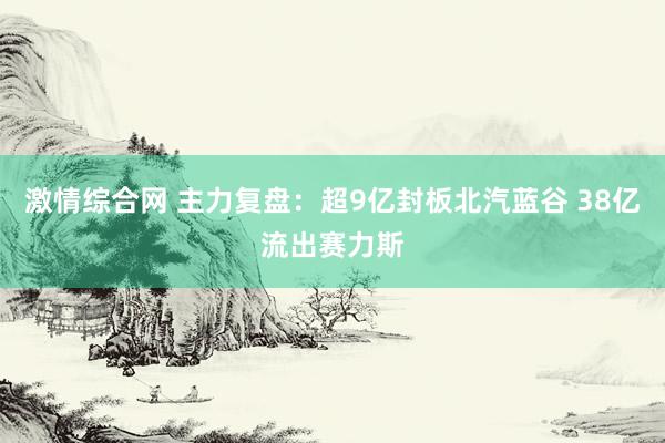 激情综合网 主力复盘：超9亿封板北汽蓝谷 38亿流出赛力斯