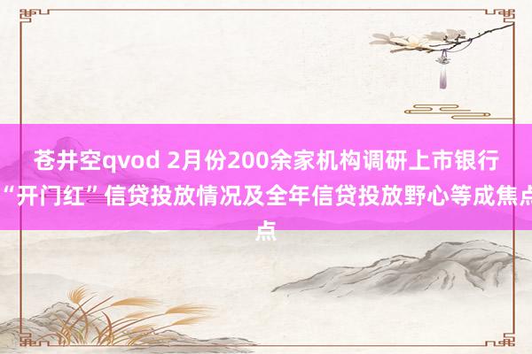 苍井空qvod 2月份200余家机构调研上市银行 “开门红”信贷投放情况及全年信贷投放野心等成焦点