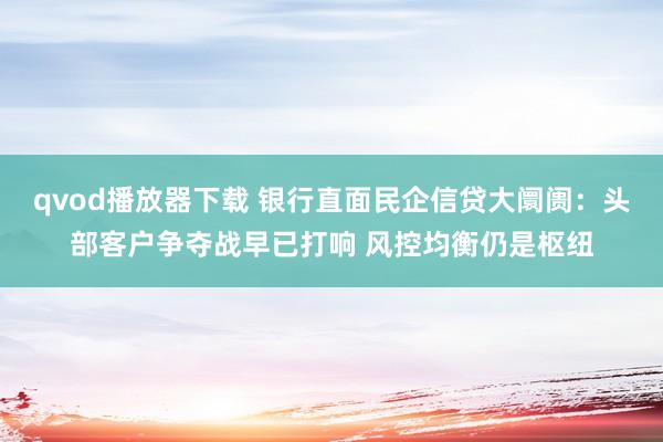 qvod播放器下载 银行直面民企信贷大阛阓：头部客户争夺战早已打响 风控均衡仍是枢纽